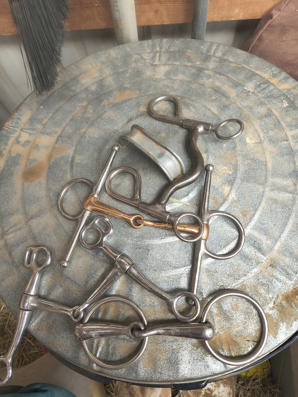 Assorted Metal Horse Bits -